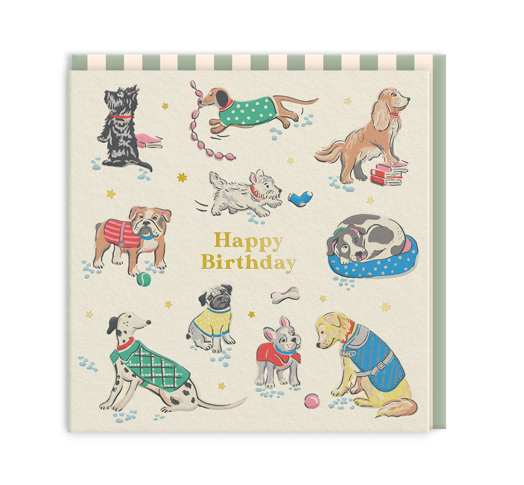 Dogs Mini Square Greeting Card