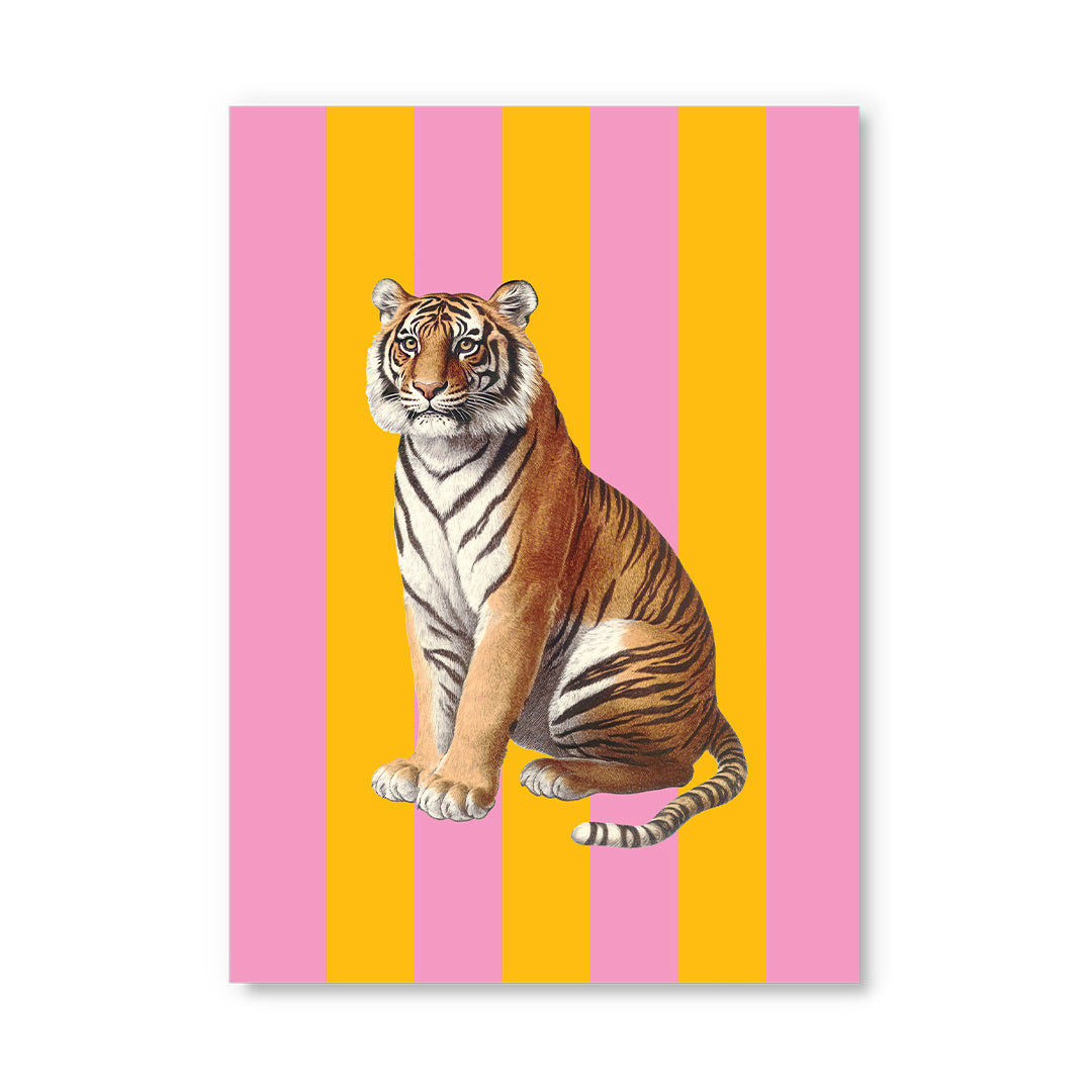 Striped Tiger Postcard