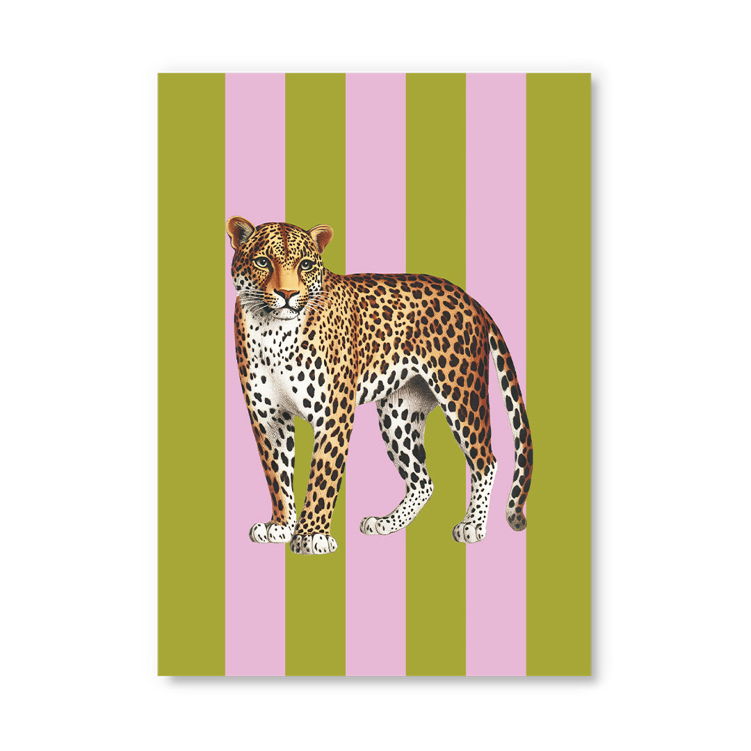 Striped Leopard Postcard