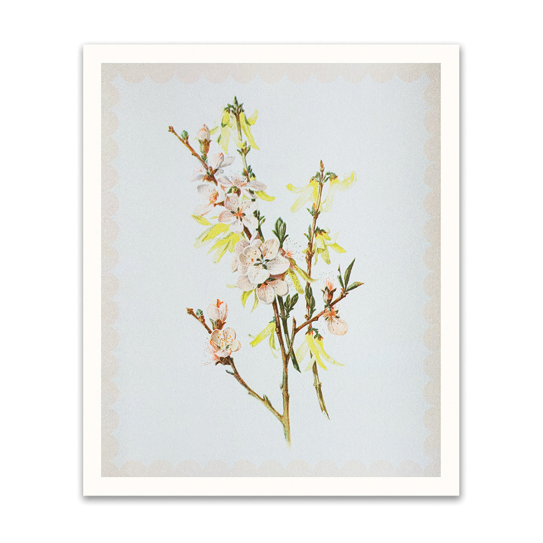Spring Blossom Riso Print (12x10)