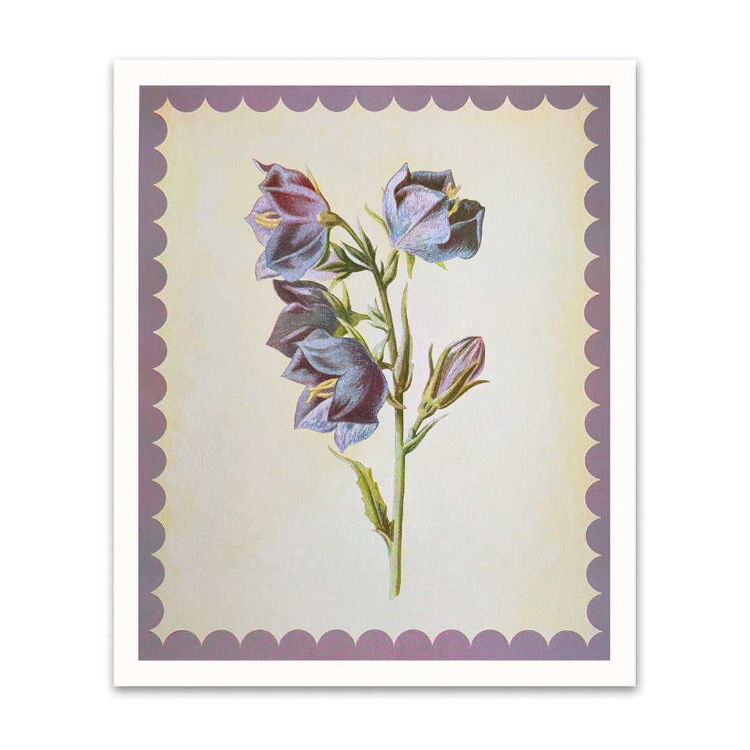 Giant Bell Flower Riso Print (12x10)