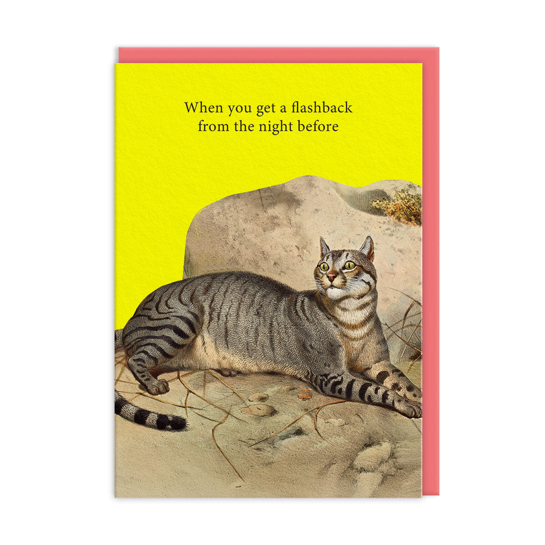 Flashbacks Greeting Card