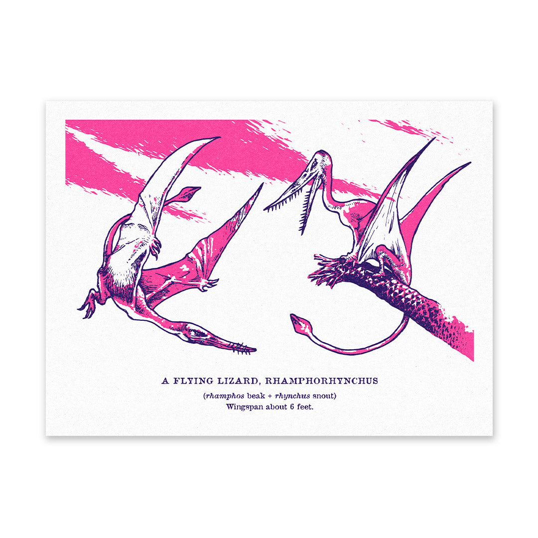 Rhamphorhynchus Riso Print (8x6)