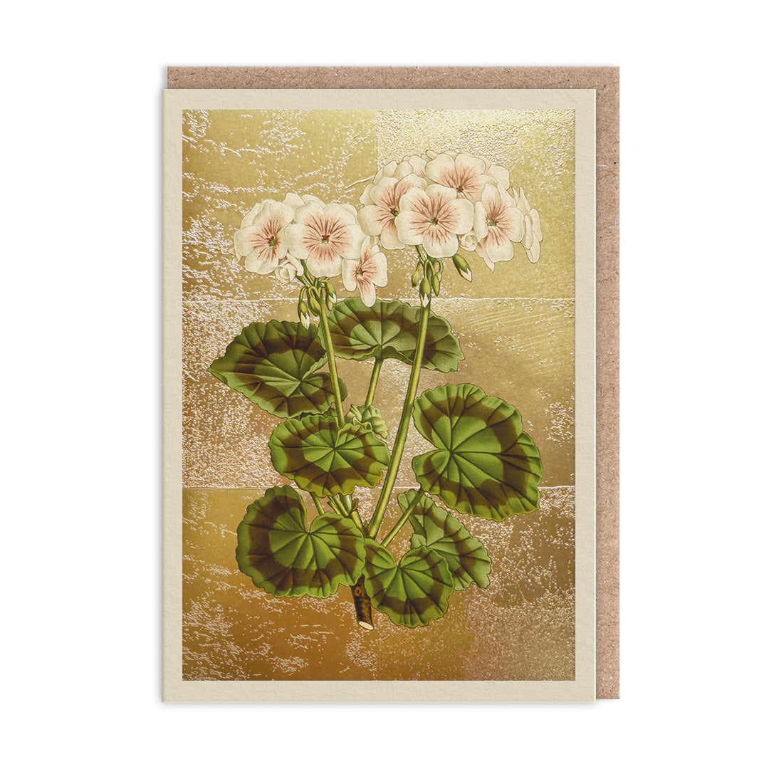 Geranium Greeting Card