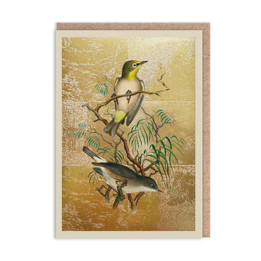Heuglin's White-Eye Greeting Card