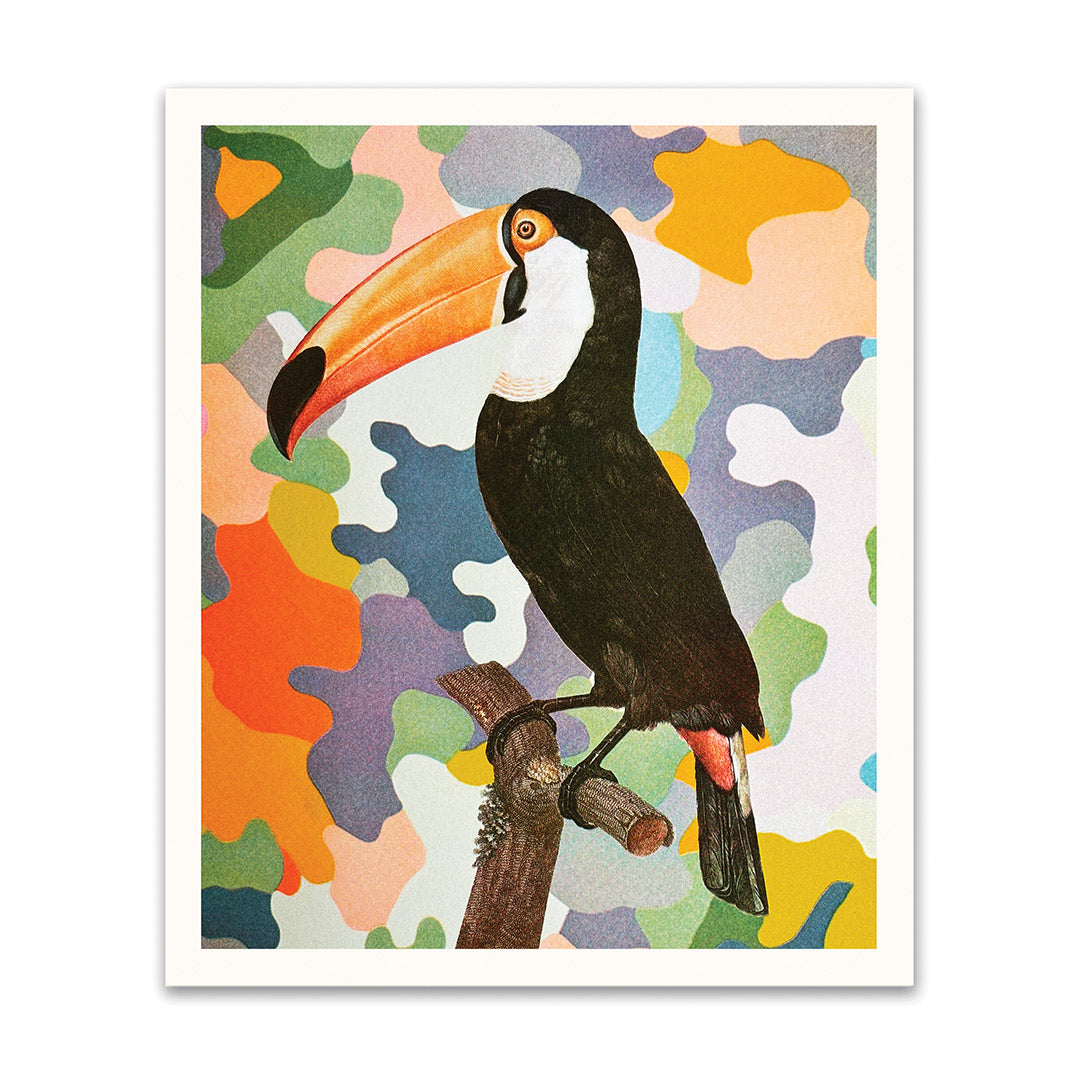 Toucan Riso Print (12x10)