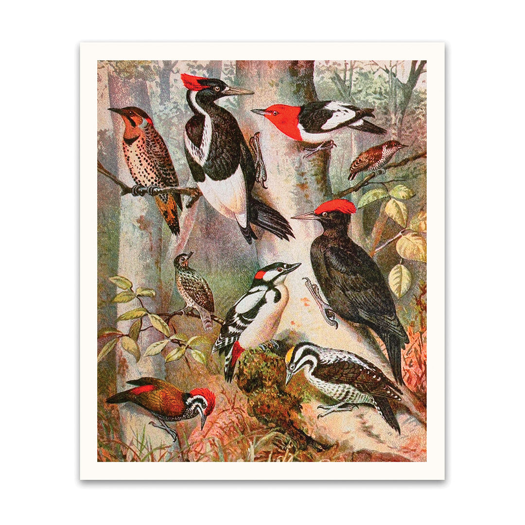 Forest Birds Riso Print (12x10)