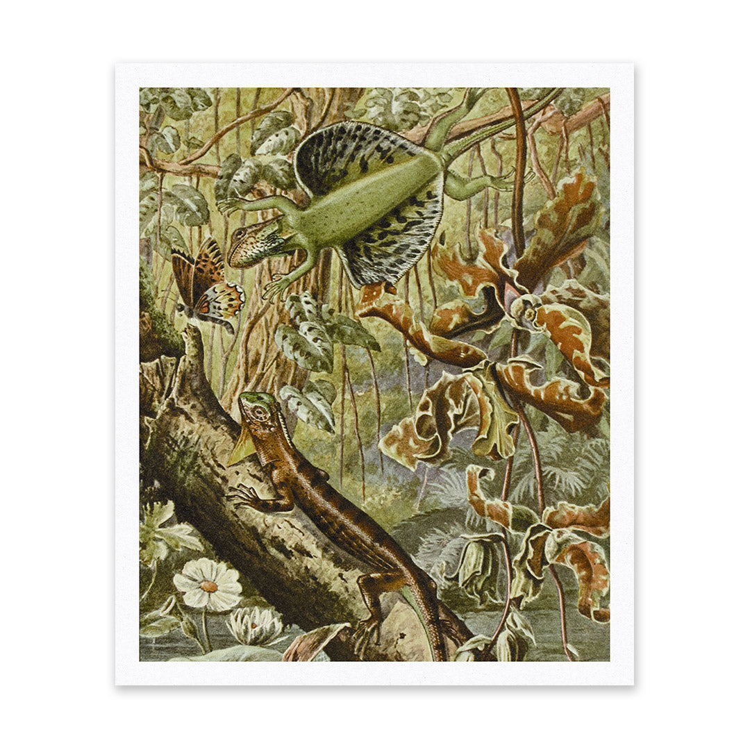 Flying Dragons Riso Print (12x10)