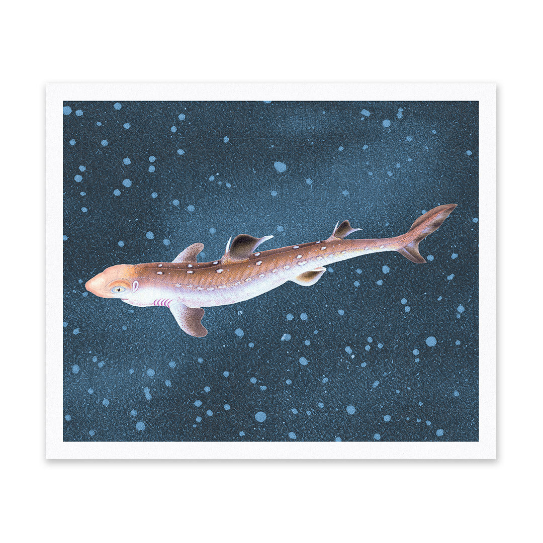 Spiny Dogfish Riso Print (12x10)
