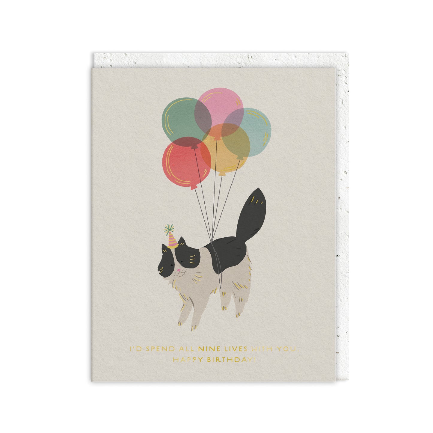 Nine Lives Birthday Card