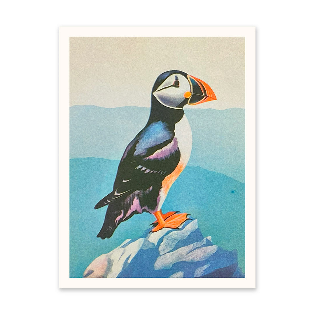 Puffin Art Print