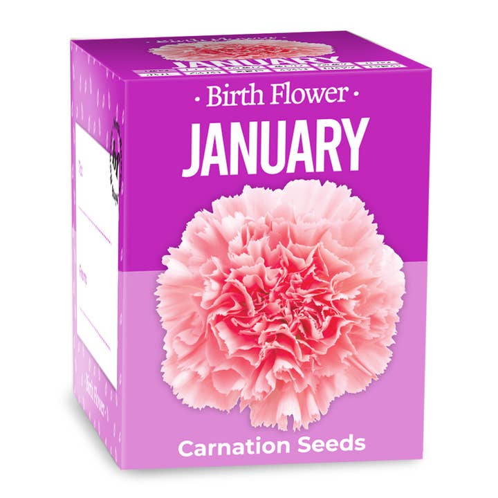 Birth Flower - January