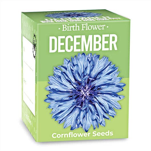 Birth Flower - December