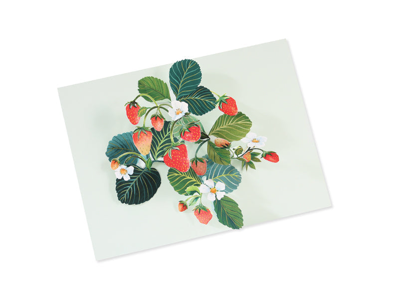 Strawberries 3D Pop Up Greeting Card