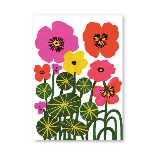 Nasturtiums Postcard