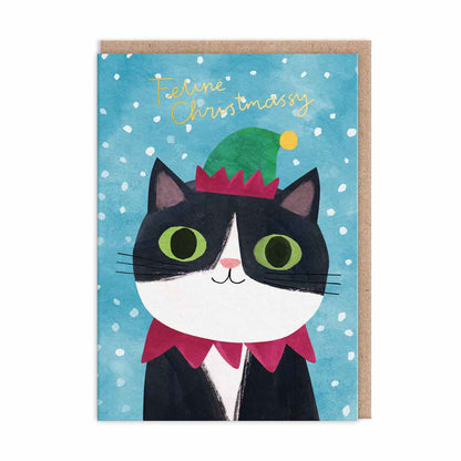 Pack of 9 Christmas Cards - Cats In Hats