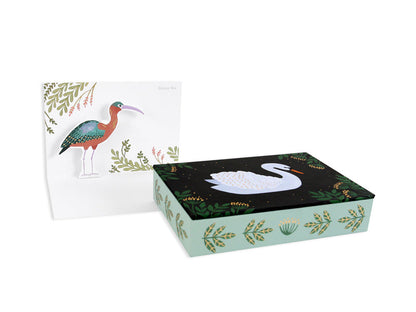 Aquatic Birds Boxed Notes