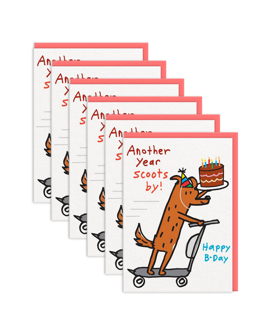 BRDGC12494 6 Pack Image