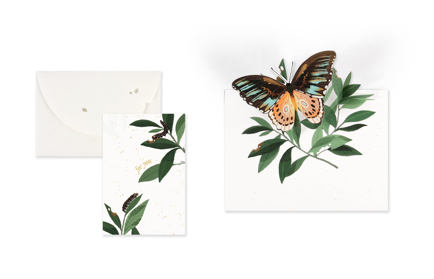 Butterfly Dear Alchemy: Petite Die-Cut Greeting Card