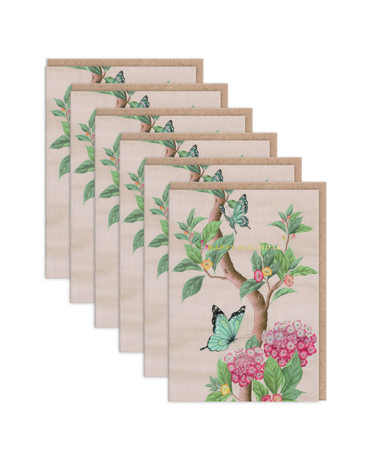 DIHGC9902 6 Pack Image