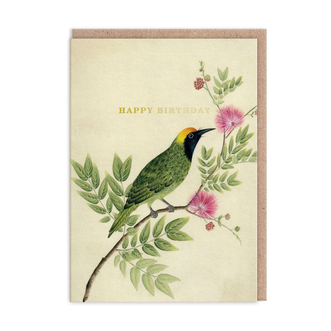 Birthday card with a songbird illustration by Diane Hill. Gold Foil text reads Happy Birthday