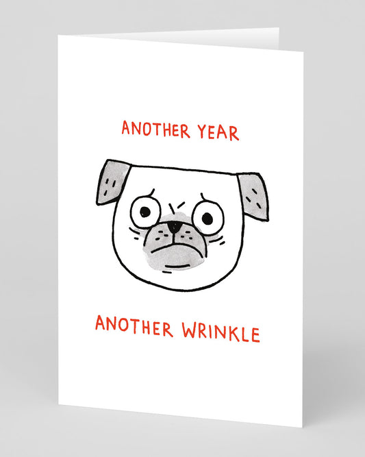 Another Year Another Wrinkle Brithday Card