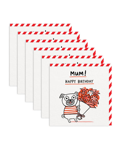 GEMMAGC7173 6 Pack Image