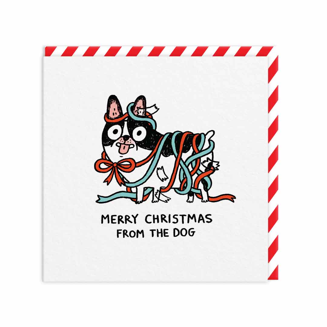 Christmas Card with a dog covered in Tape, wrapping paper and bows. Text reads Merry Christmas From the Dog