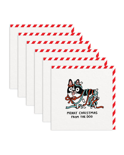 GEMMASQ9717 6 Pack Image