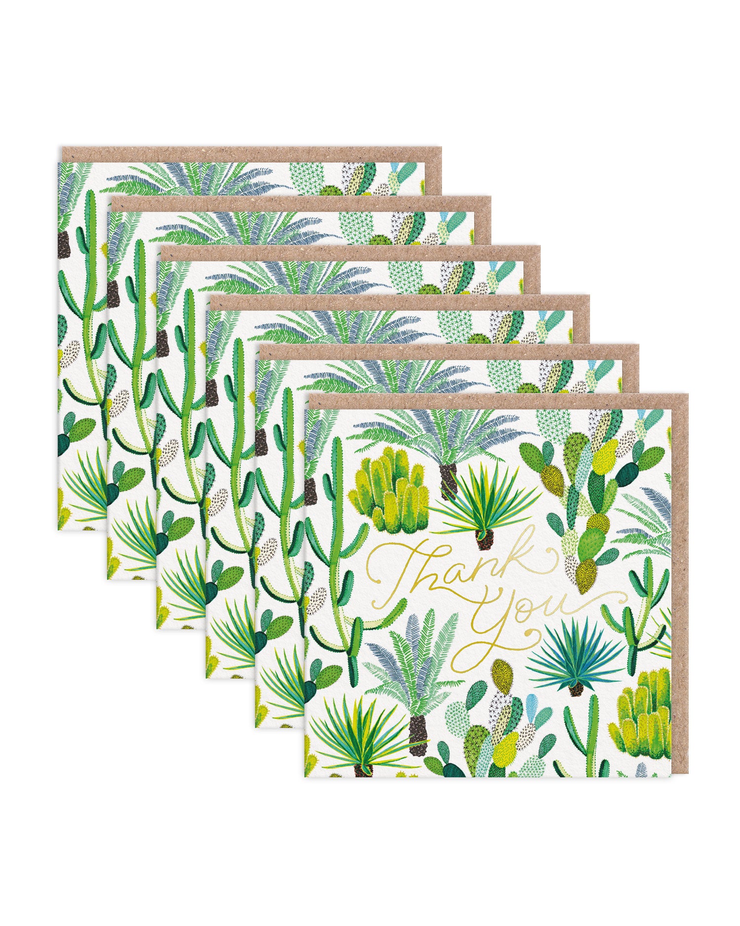 JCL-GC-001-SQ 6 Pack Image