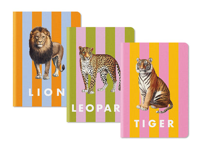 Stripe | 3x Stitched B6 Notebook Set