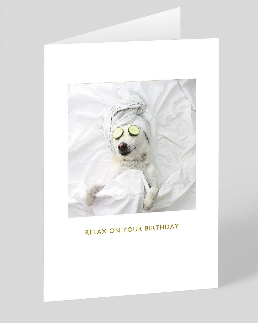 Pampered Pooch Birthday Card