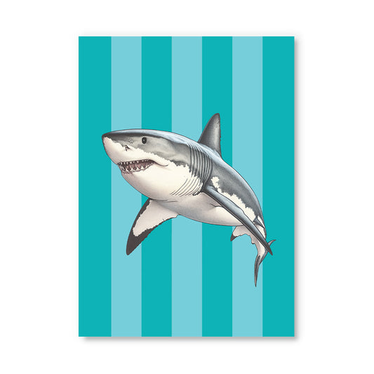 Striped Shark Postcard