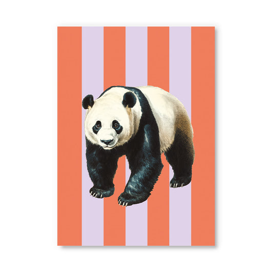 Striped Panda Postcard