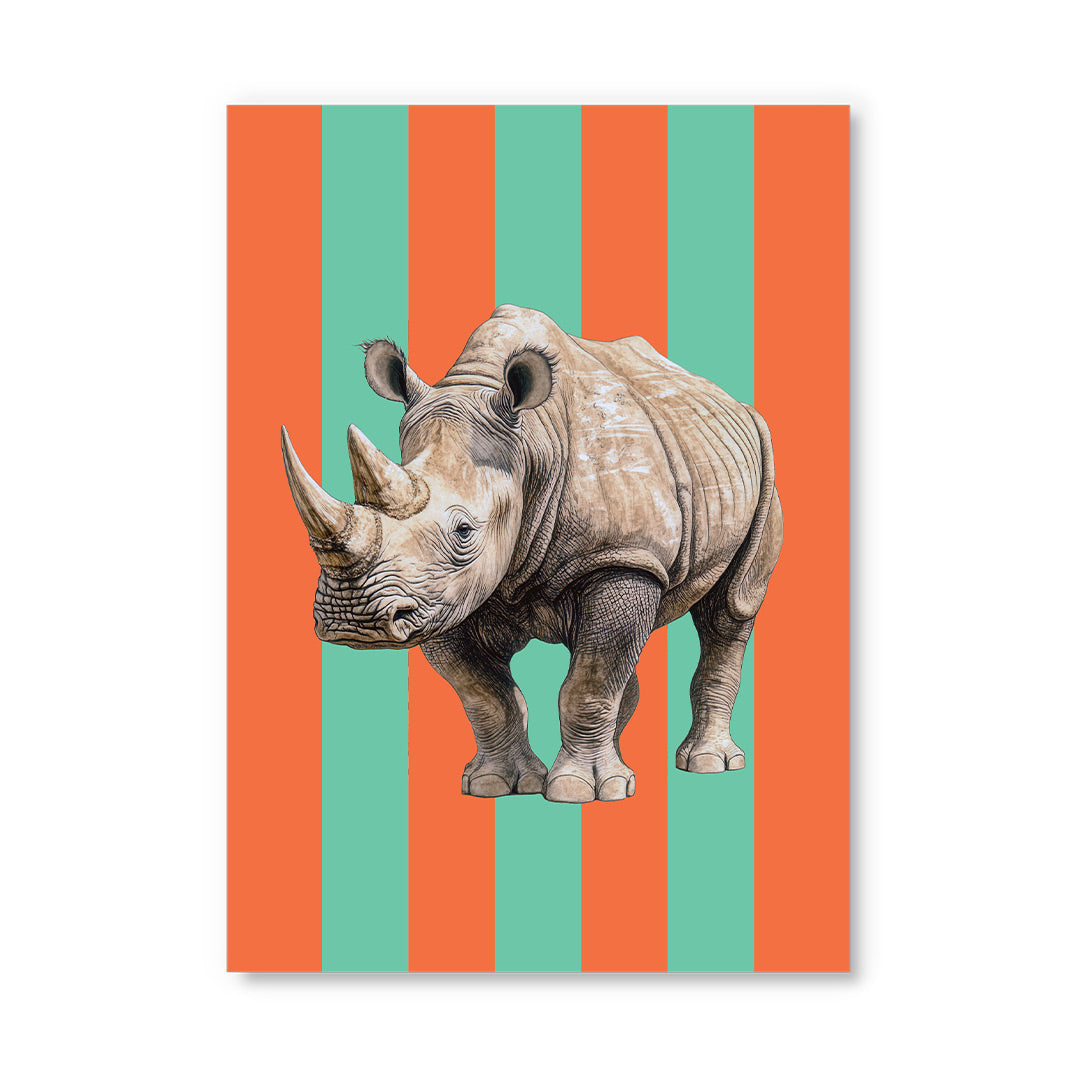 Striped Rhino Postcard