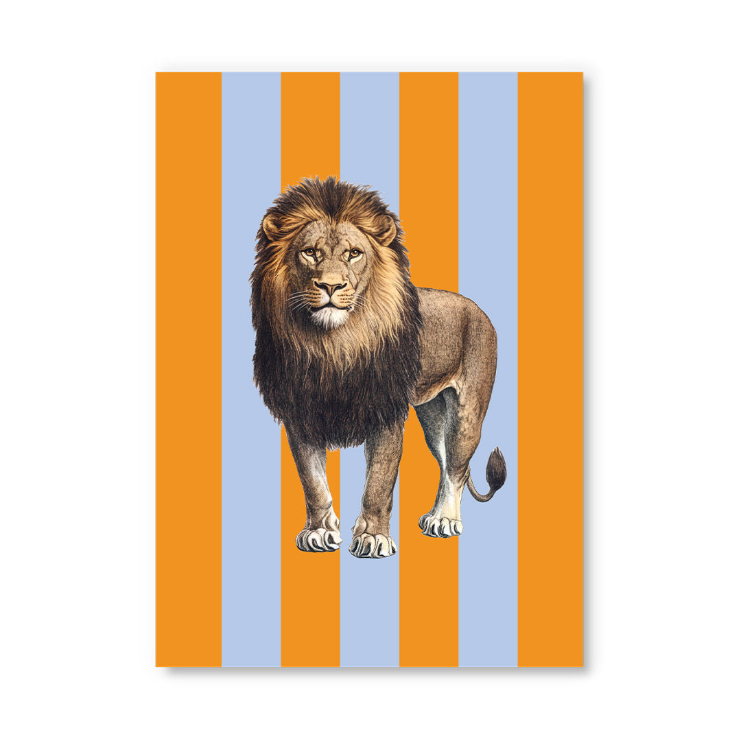 Striped Lion Postcard