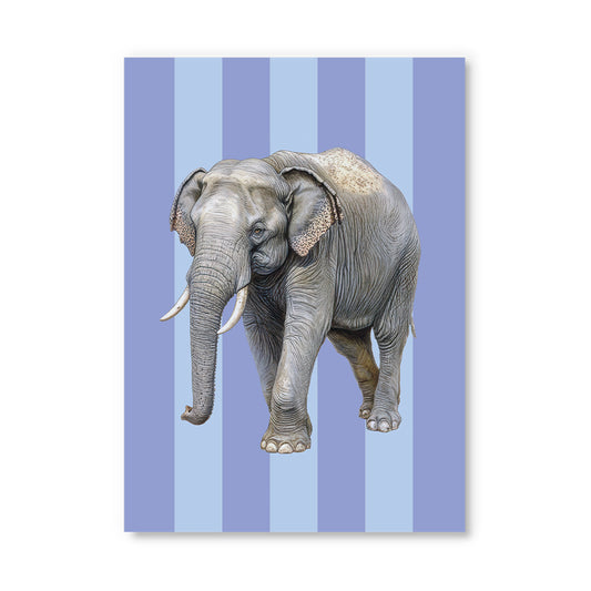 Striped Elephant Postcard