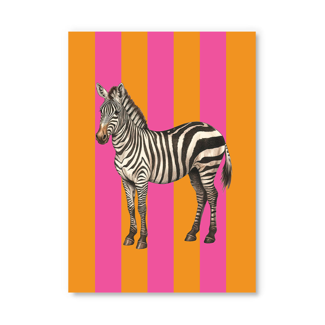 Striped Zebra Postcard
