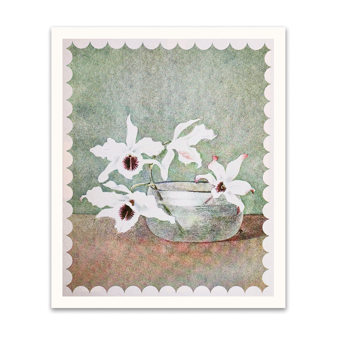 White Orchid In Water Riso Print (12x10)