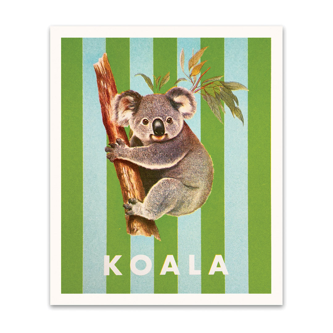 Striped Koala Small Art Print (12x10)