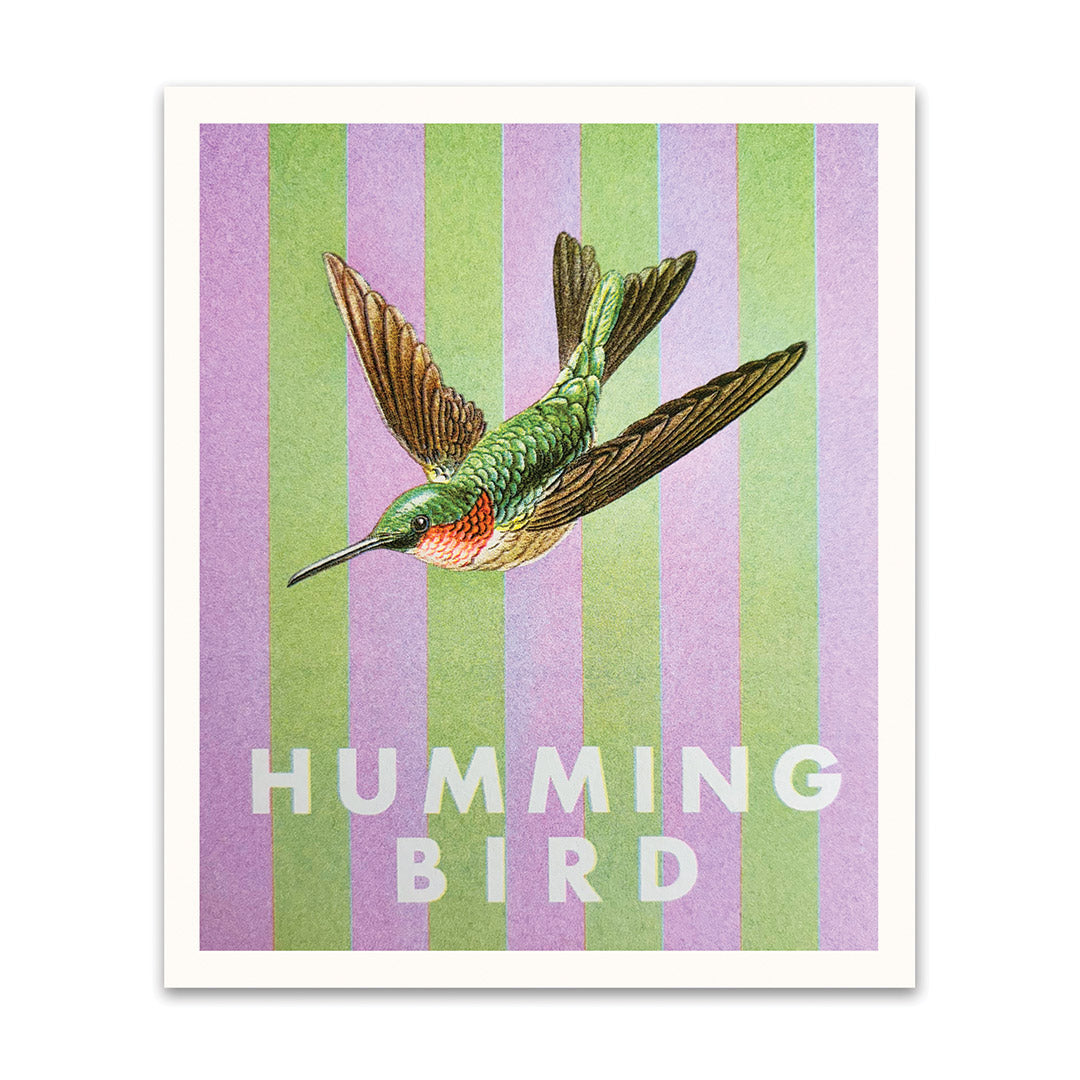 Striped Hummingbird Small Art Print (12x10)