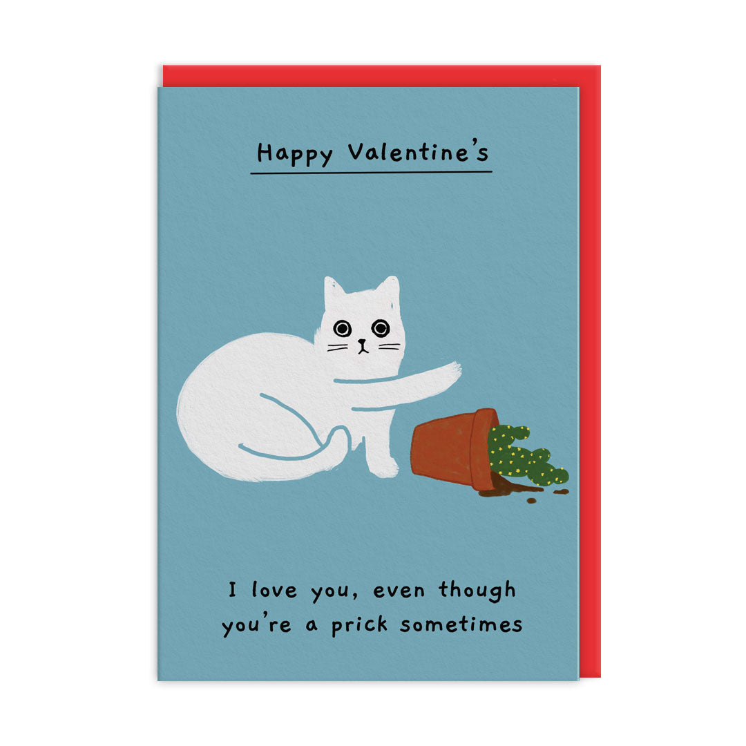 I Love You Even Though You're A Prick Sometimes Valentine's Card