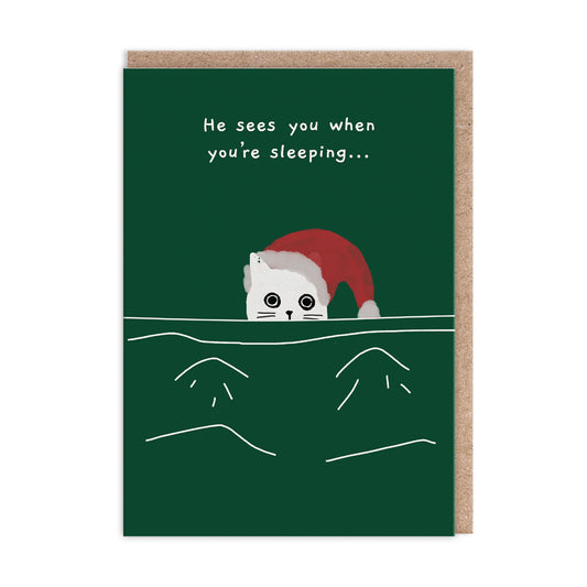 He Sees You When You're Sleeping Cat Christmas Card