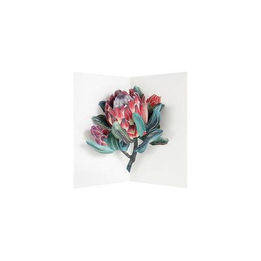 Protea 3D Pop Up Greeting Card