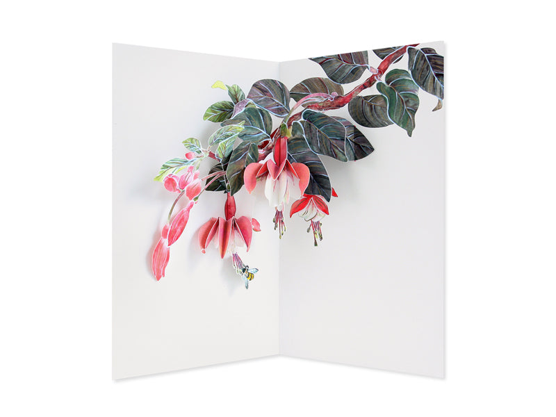 Fuchsia 3D Pop Up Greeting Card