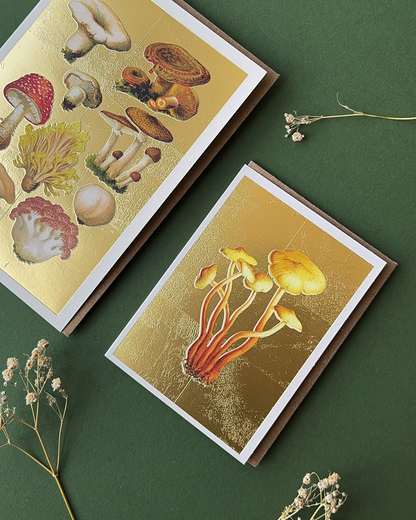 Fungi Mini Greeting Card
