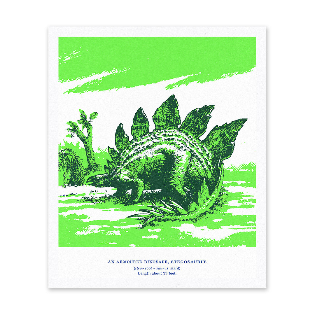 Stegosaurus Riso Print (12x10)