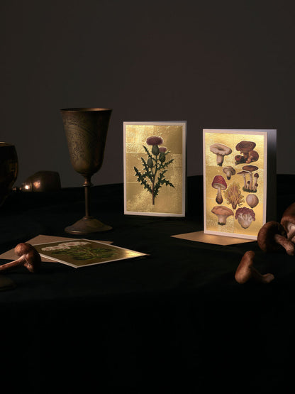 Pelargonium Greeting Card