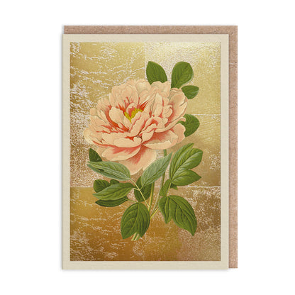 Tree Peony Greeting Card