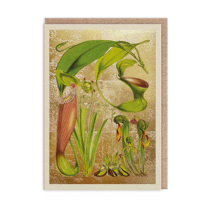 Pitcher Plants Greeting Card